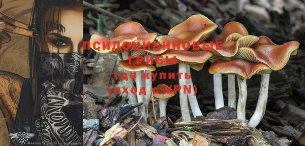 Альфа ПВП Белокуриха