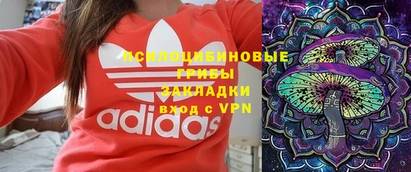 Альфа ПВП Белокуриха