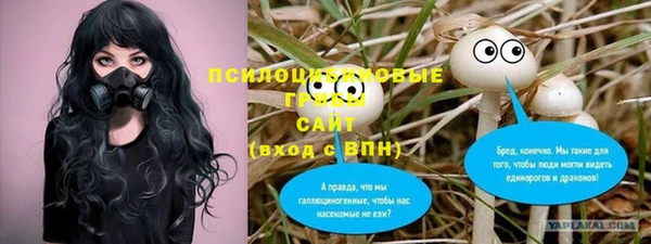 амф Белоозёрский