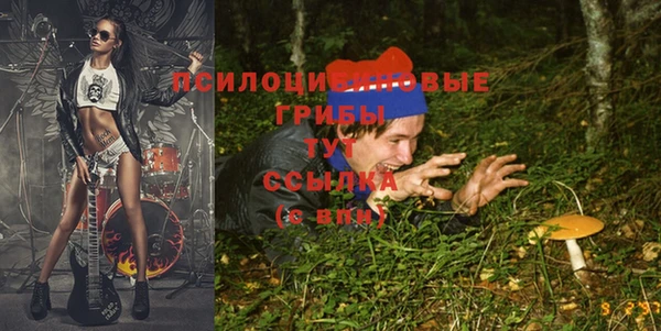 амф Белоозёрский