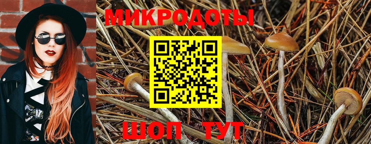 Псилоцибиновые грибы мицелий  Вход с VPN  Пыть-Ях 