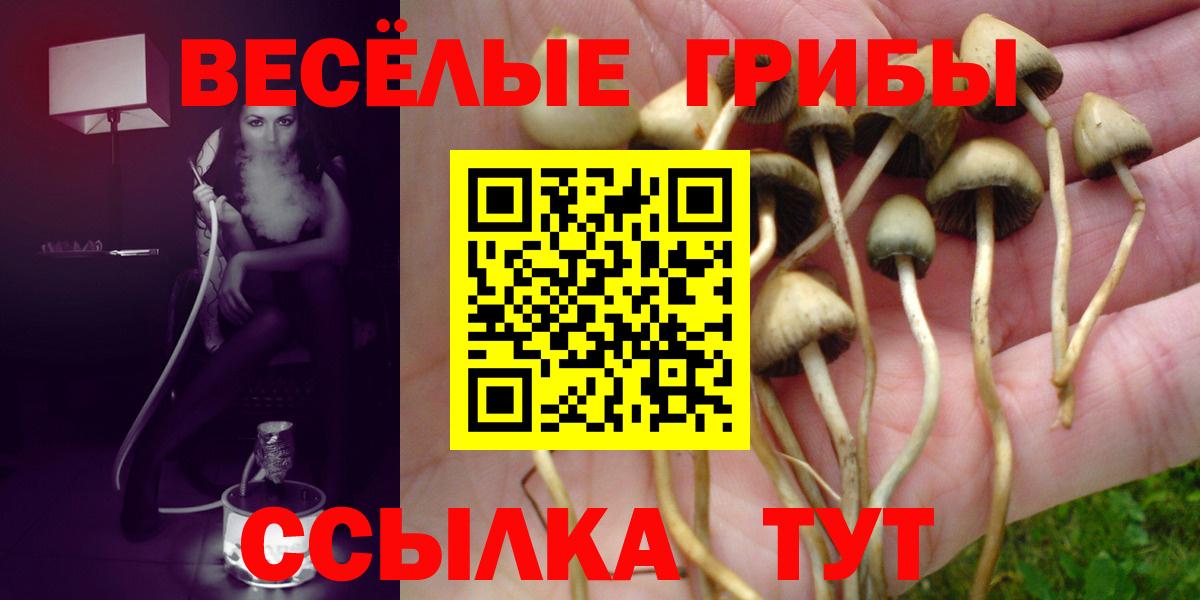 Псилоцибиновые грибы Psilocybe Пыть-Ях