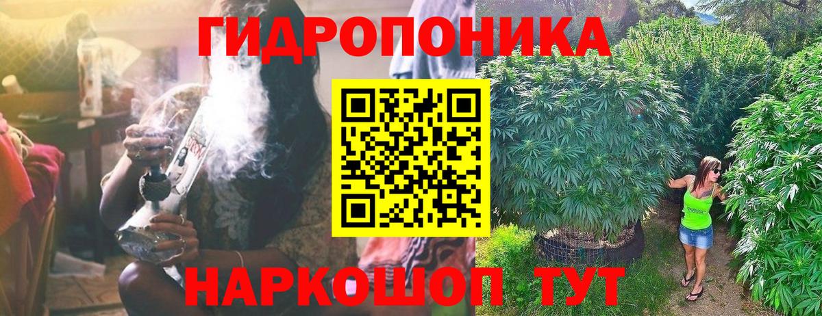 Бошки марихуана сатива Пыть-Ях